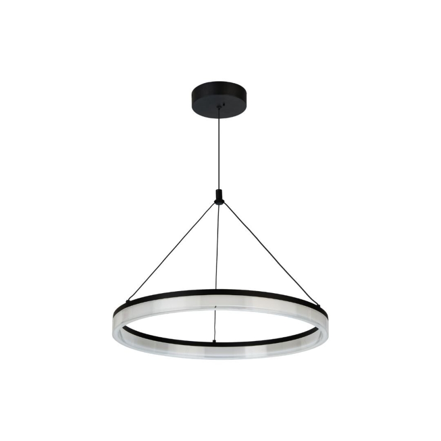 Rabalux - Dimmbare LED-Pendelleuchte an Kabel LED/24W/230V 3000-6500K + Fernbedienung