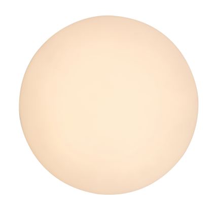 Rabalux - LED Badezimmer-Deckenleuchte LED/24W/230V IP54 Ø 28 cm