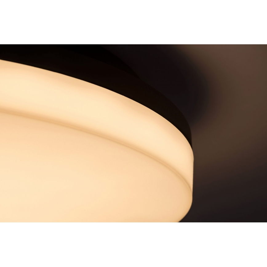 Rabalux - Plafoniera LED da bagno LED/24W/230V IP54