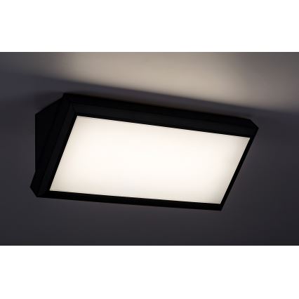 Rabalux - Applique a LED da esterno LED/12W/230V IP54