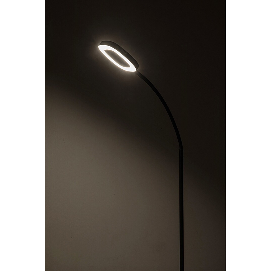 Rabalux - Lampada da terra touch LED dimmerabile LED/11W/230V 3000K