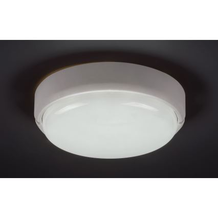Rabalux - Plafonnier d'extérieur LED/15W/230V IP54 blanc