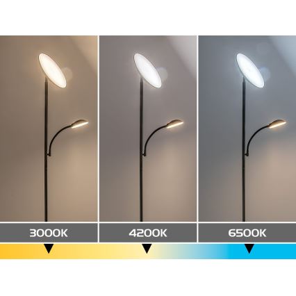 Rabalux - Dimmbare LED-Stehlampe LED/23W/230V 3000/4200/6500 schwarz