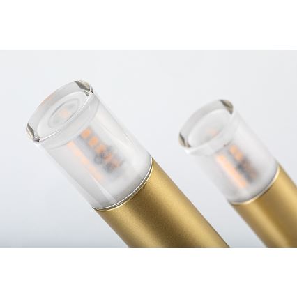 Rabalux - Tischleuchte 3xG9/5W/230V golden