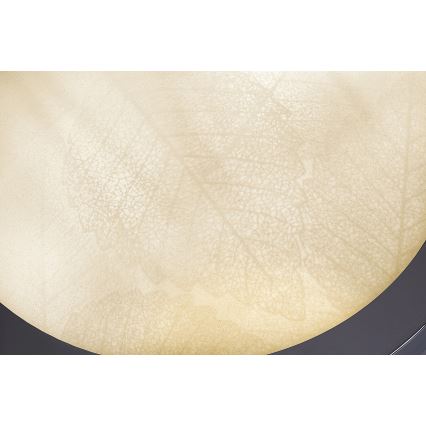 Rabalux - Lampada da soffitto per bagno 2xE27/40W/230V IP44