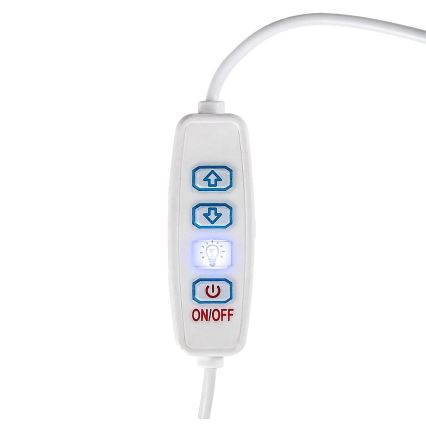 Rabalux - LED dimmbare Tischlampe LED/1,2W/5V 3000K Buche