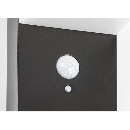 Rabalux - Lampada LED solare con sensore LED/6W/3,7V IP44