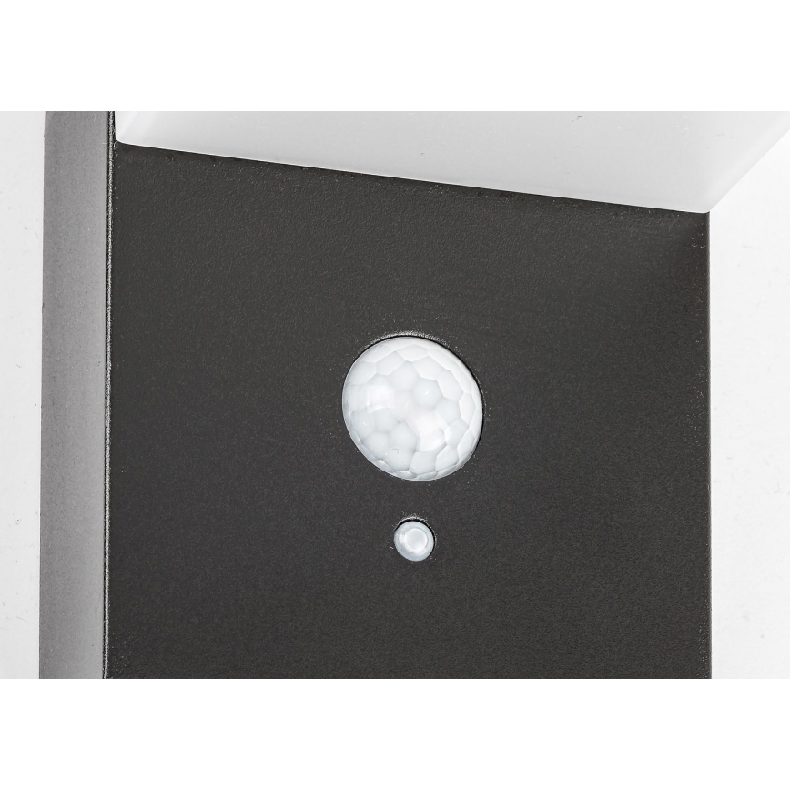 Rabalux - Lampada LED solare con sensore LED/6W/3,7V IP44