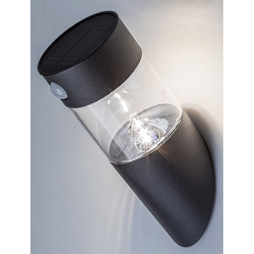 Rabalux - Lampada LED solare con sensore LED/1,5W/3,7V IP44