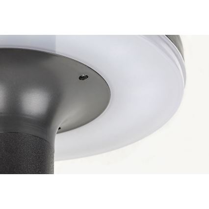 Rabalux - Lampada LED solare con sensore LED/10W/3,7V IP44