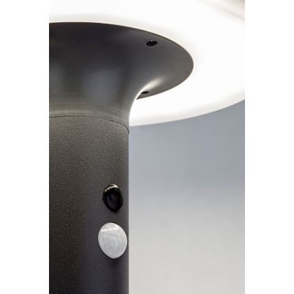 Rabalux - Lampada LED solare con sensore LED/10W/3,7V IP44