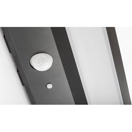 Rabalux - Lampada LED solare con sensore LED/6W/3,7V IP44