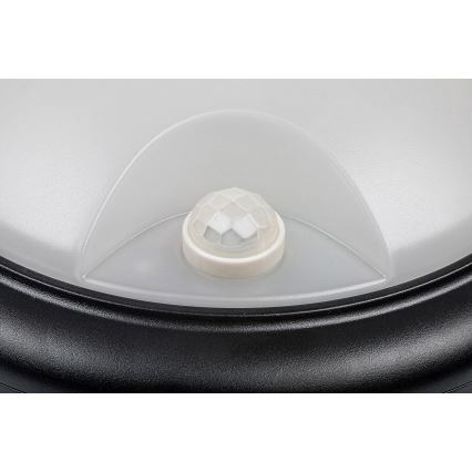Rabalux - Applique murale d'extérieur avec détecteur LED/15W/230V IP54