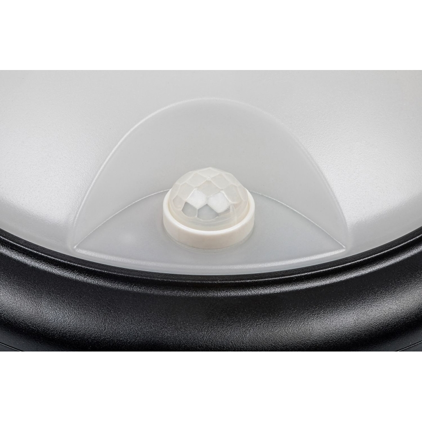 Rabalux - Applique murale d'extérieur avec détecteur LED/15W/230V IP54