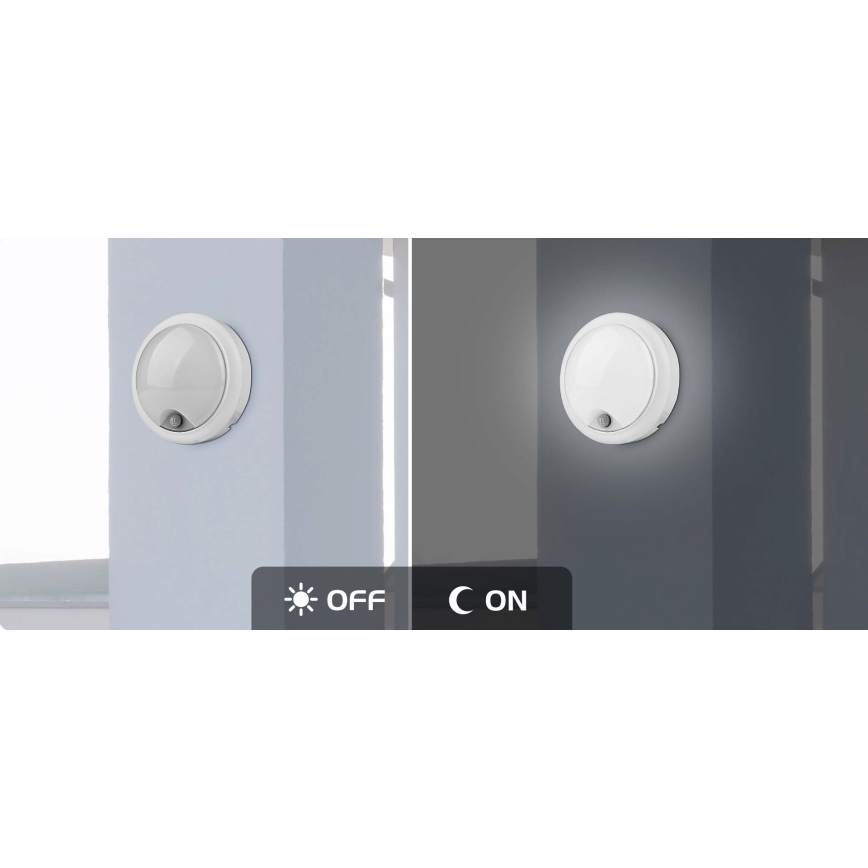 Rabalux  - Applique da esterno a LED con sensore LED/15W/230V IP54