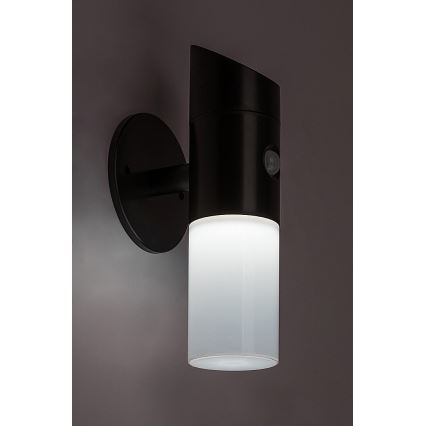 Rabalux - Applique murale solaire RGB avec détecteur LED/1W/3,7V IP44 noir