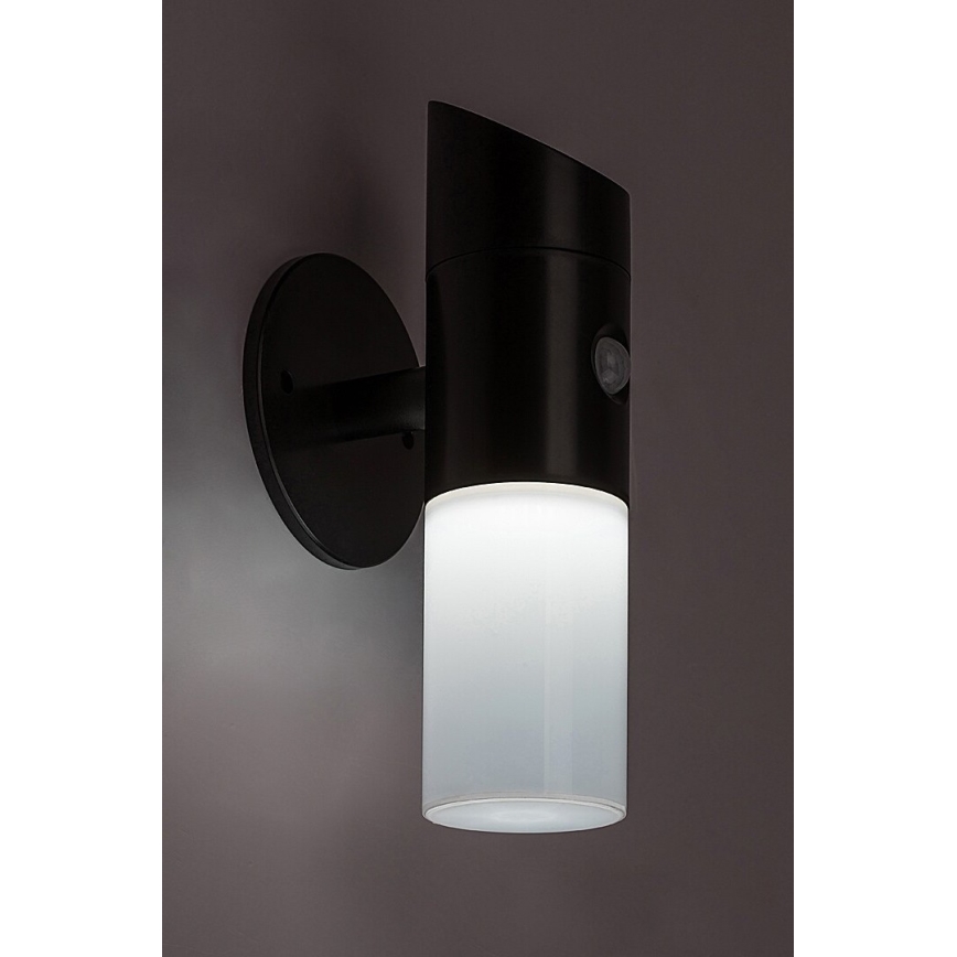 Rabalux - Applique murale solaire RGB avec détecteur LED/1W/3,7V IP44 noir