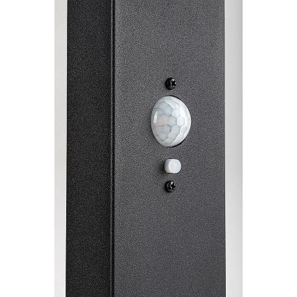 Rabalux - Lampe solaire à intensité variable avec détecteur LED/4,4W/3,7V IP54 anthracite 2200 mAh
