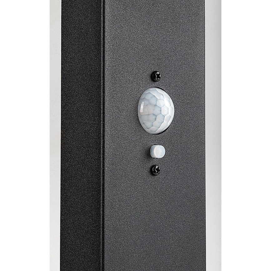 Rabalux - Lampe solaire à intensité variable avec détecteur LED/4,4W/3,7V IP54 anthracite 2200 mAh