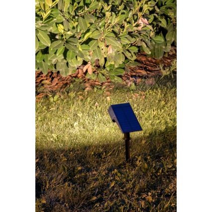 Rabalux - LED Solarleuchte LED/0,5W/3,7V IP65 schwarz 3000 mAh