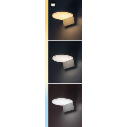 Rabalux - Applique a LED da esterno LED/9W/230V 2700/4000/6500K IP54 bianco