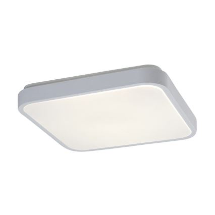 Rabalux - Plafonnier LED pour salle de bains avec détecteur de mouvement LED/18W/230V 4000K IP44 28,5x28,5 cm