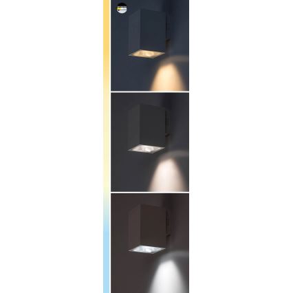 Rabalux - Applique a LED da esterno LED/9W/230V 2700/4000/6500K IP65 nero