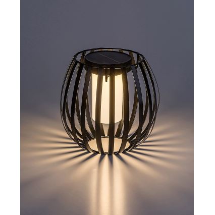 Rabalux - Lampada LED solare LED/1W/1,2V 300mAh IP44