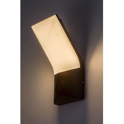 Rabalux - Applique murale extérieure LED/10W/230V IP54