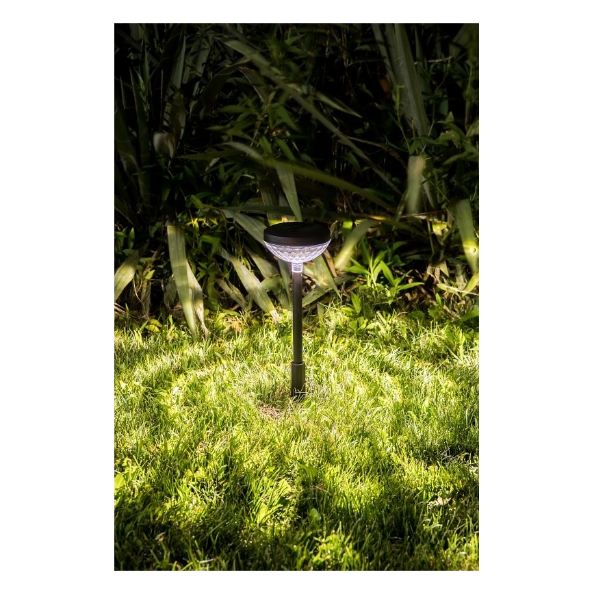 Rabalux - Luminaire solaire RGB LED/0,1W/1,2V 600mAh IP44