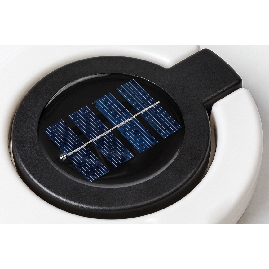 Rabalux - Luminaire solaire LED/0,05W/1,2V IP44