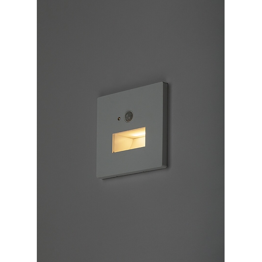 Rabalux - Lampada LED per scale con sensore di movimento e crepuscolare LED/1W/230V 3000/4500/6500K bianco