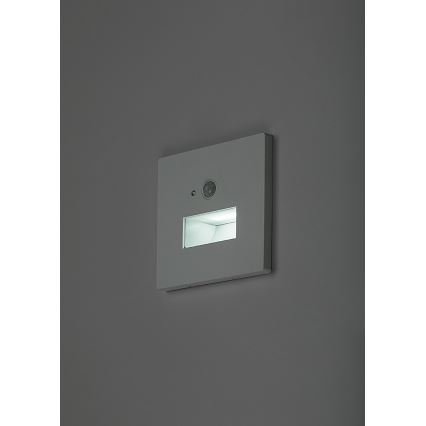 Rabalux - Lampada LED per scale con sensore di movimento e crepuscolare LED/1W/230V 3000/4500/6500K bianco