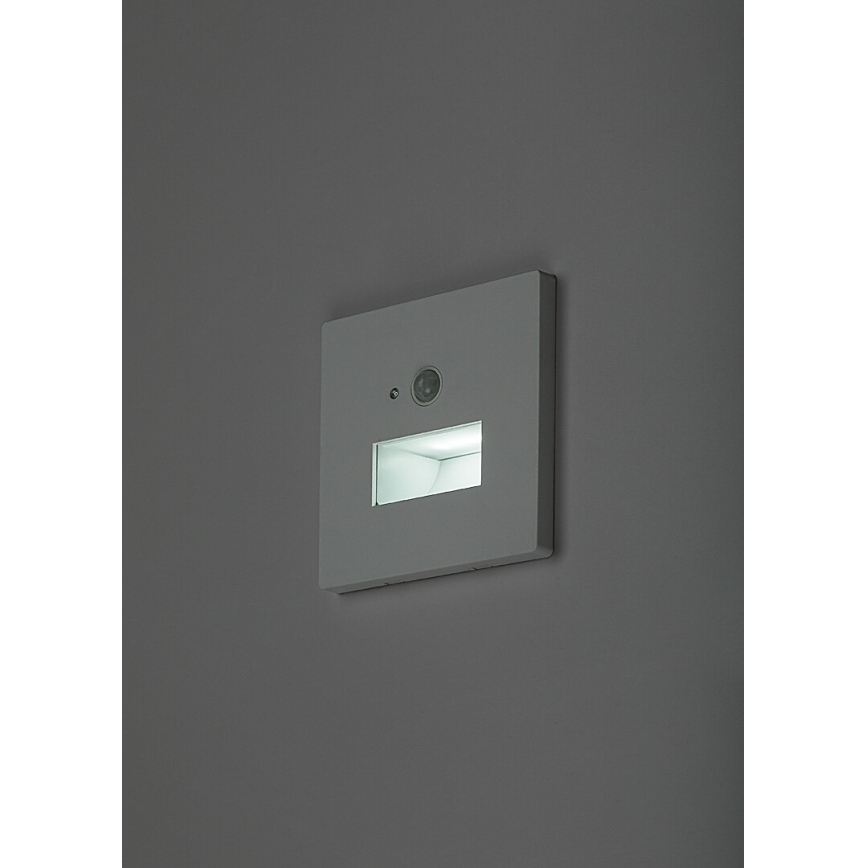 Rabalux - Lampada LED per scale con sensore di movimento e crepuscolare LED/1W/230V 3000/4500/6500K bianco