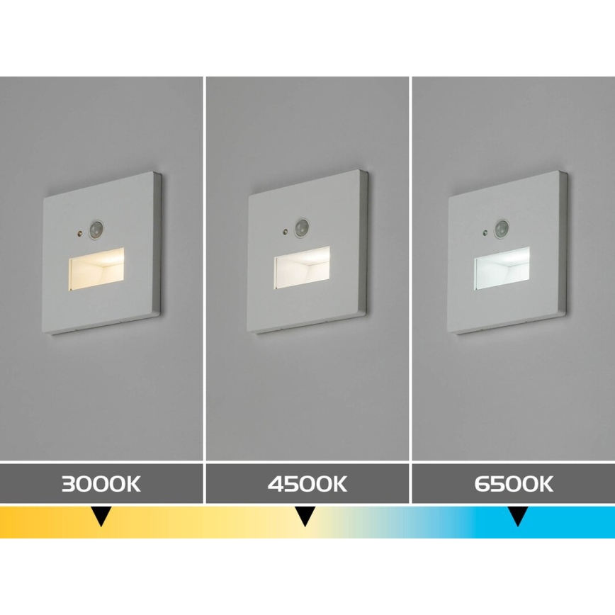 Rabalux - Lampada LED per scale con sensore di movimento e crepuscolare LED/1W/230V 3000/4500/6500K bianco