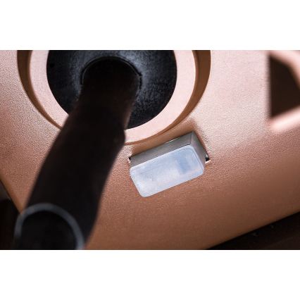 Rabalux - Applique murale d'extérieur LED/9W/230V IP65 marron