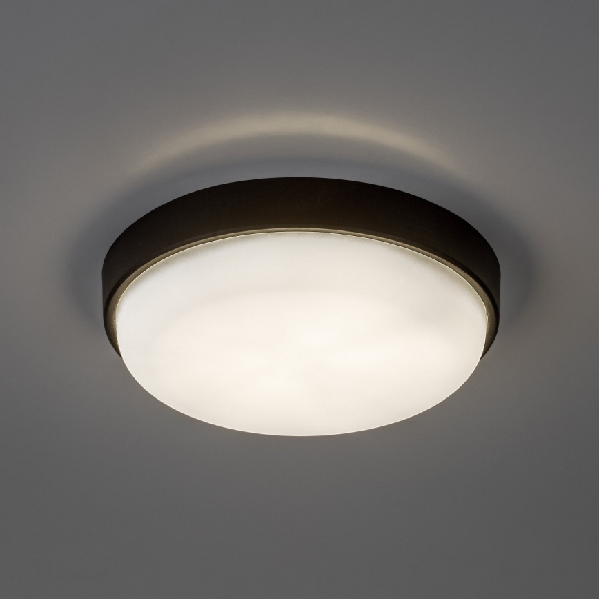 Rabalux - LED Außen-Deckenleuchte LED/14W/230V IP54 schwarz