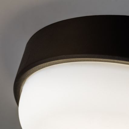 Rabalux - LED Außen-Deckenleuchte LED/14W/230V IP54 schwarz