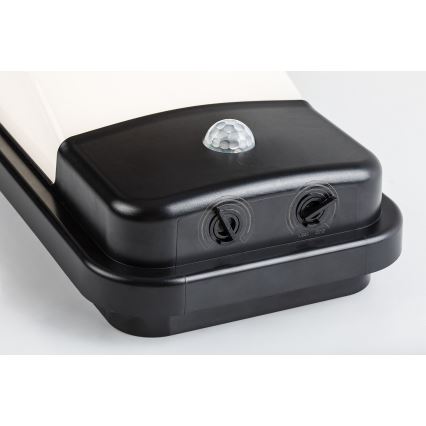 Rabalux - Lampada da parete per esterni a LED con sensore di movimento LED/20W/230V IP65