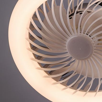 Rabalux - Ampoule LED dimmable avec ventilateur SMD E27/16W/230V 3000–6500 K + télécommande