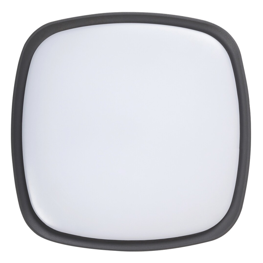 Rabalux - LED Plafoniera da esterno LED/20W/230V IP65