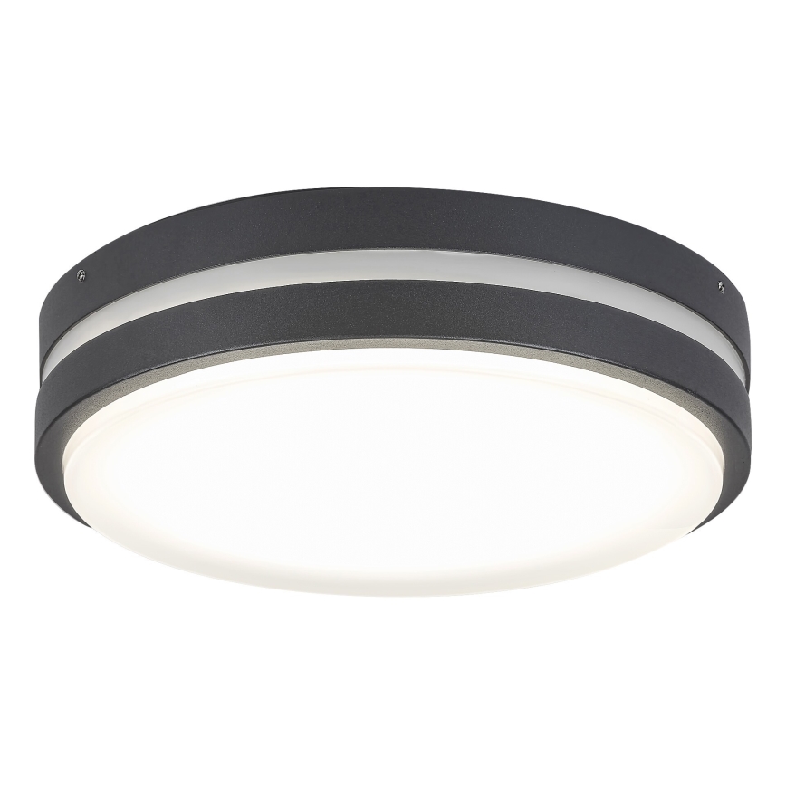 Rabalux 8848 - LED Auβen-Wandbeleuchtung HAMBURG LED/12W/230V IP44