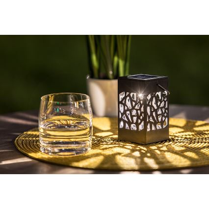 Rabalux - Lampada solare LED da esterno LED/0,07W/1xAAA IP23 200 mAh