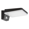 Rabalux - Applique solaire LED dimmable avec capteur LED/4,4W/3,7V IP54 noir 2200 mAh