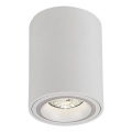 Rabalux - Faretto 1xGU10/25W/230V arrotondato bianco