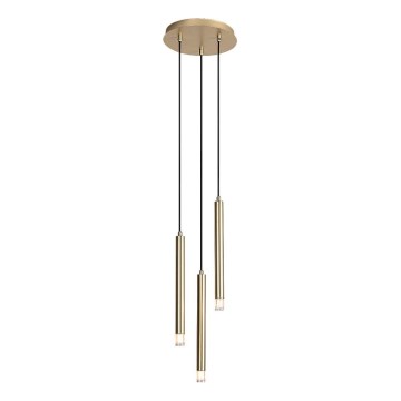 Rabalux - Hängeleuchte 3xG9/5W/230V golden