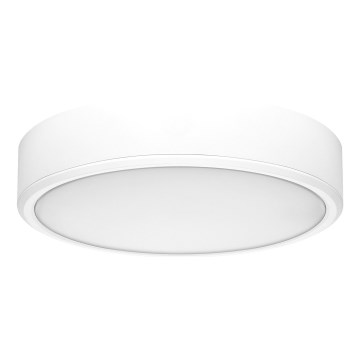 Rabalux - Lampada da soffitto LED 22W 230V 3000/4000/6000K diam. 21 cm bianco