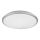 Rabalux - Lampada da soffitto LED LED/45W/230V 4000K argento 48 cm