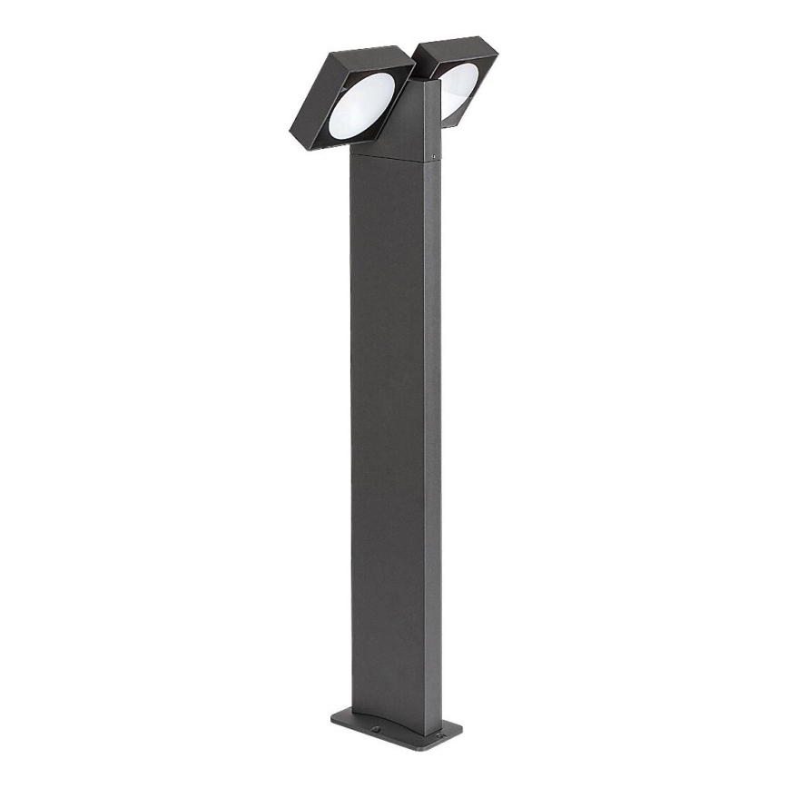 Rabalux - Lampada flessibile per esterni 2xLED/7W/230V IP54 antracite