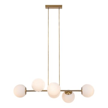 Rabalux - Lampadario a sospensione con filo 6xE27/35W/230V oro
